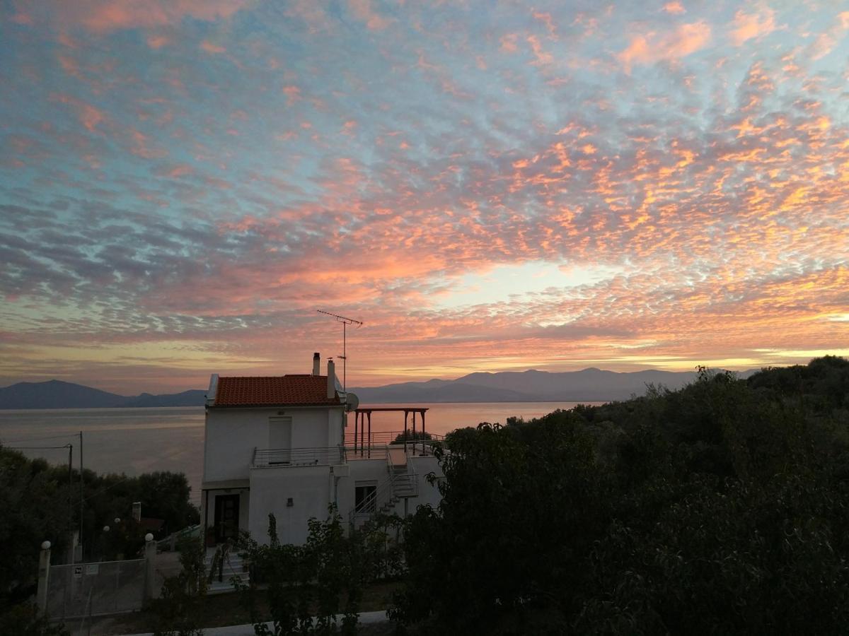 Seaside Boutique Villa Volos Buitenkant foto