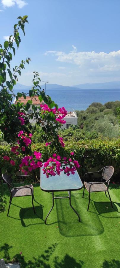 Seaside Boutique Villa Volos Buitenkant foto